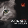 Gыndul Mыцеi Ла Чокана Формат: Audio CD (Jewel Case) Дистрибьютор: SBA Music Publishing Лицензионные товары Характеристики аудионосителей 2004 г Альбом инфо 12959m.
