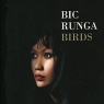 Bic Runga Birds Формат: Audio CD Дистрибьютор: Columbia Лицензионные товары Характеристики аудионосителей 2006 г Альбом: Импортное издание инфо 13221m.