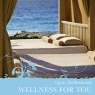Egon Wellenbrink Wellness For You Формат: Audio CD (Jewel Case) Дистрибьюторы: Правительство звука, DreaMusic Россия Лицензионные товары Характеристики аудионосителей 2008 г Альбом: Российское издание инфо 1082n.